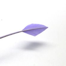 Lilac Arrow Heads Feather